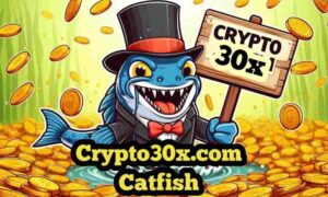 Read more about the article Understanding crypto30x.com catfish